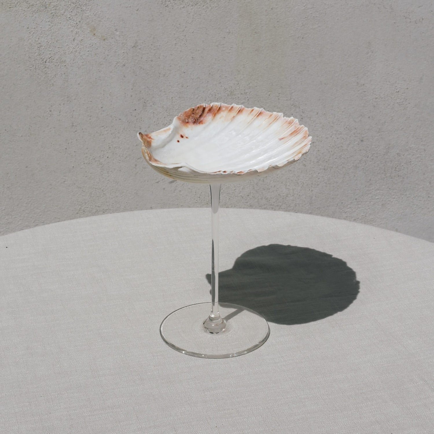 Ariel Scallop sklenice