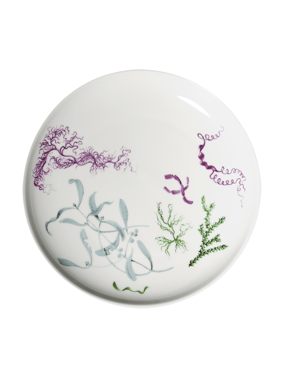 Deucalion dezertní talíř