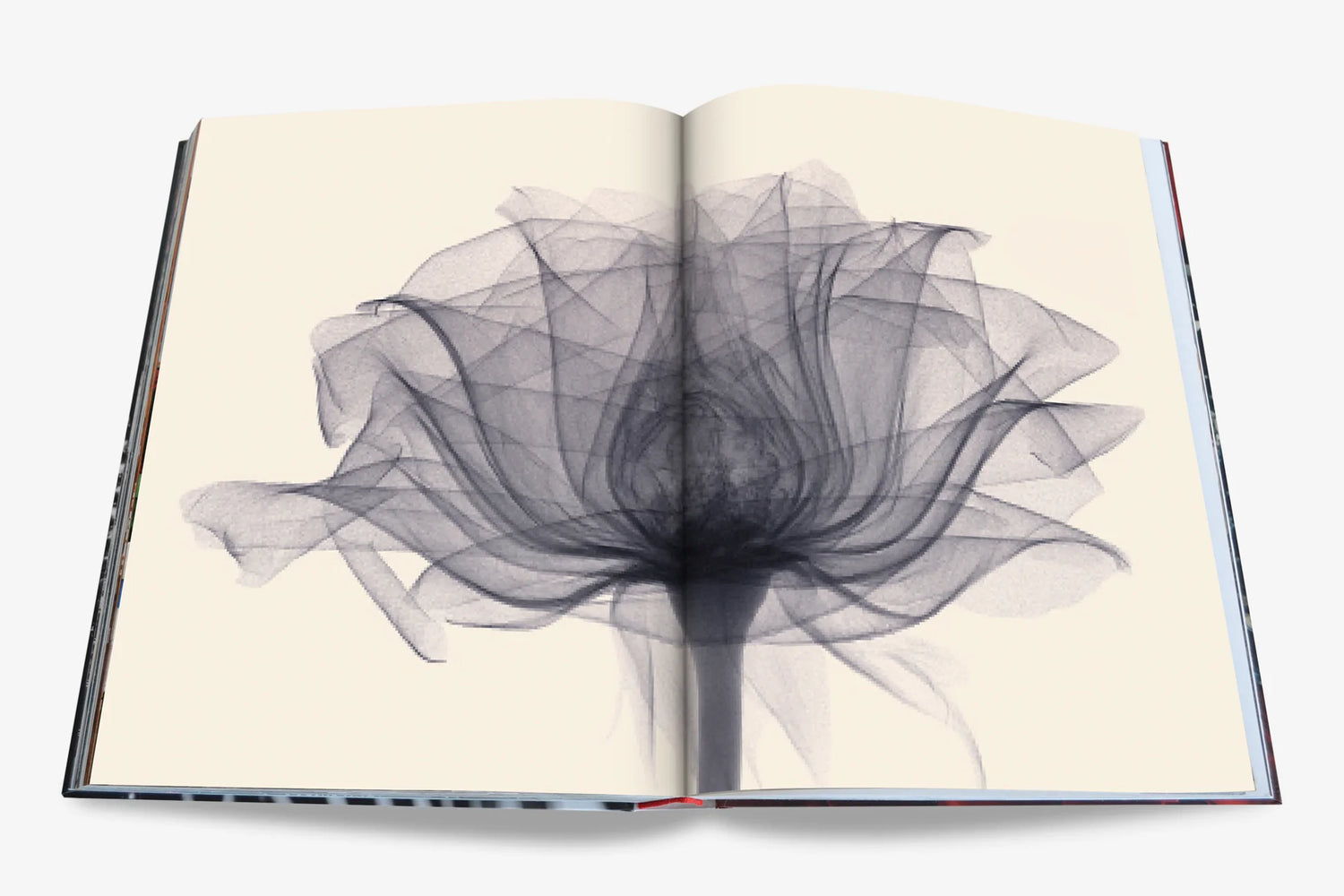 FLOWERS: ART & BOUQUETS