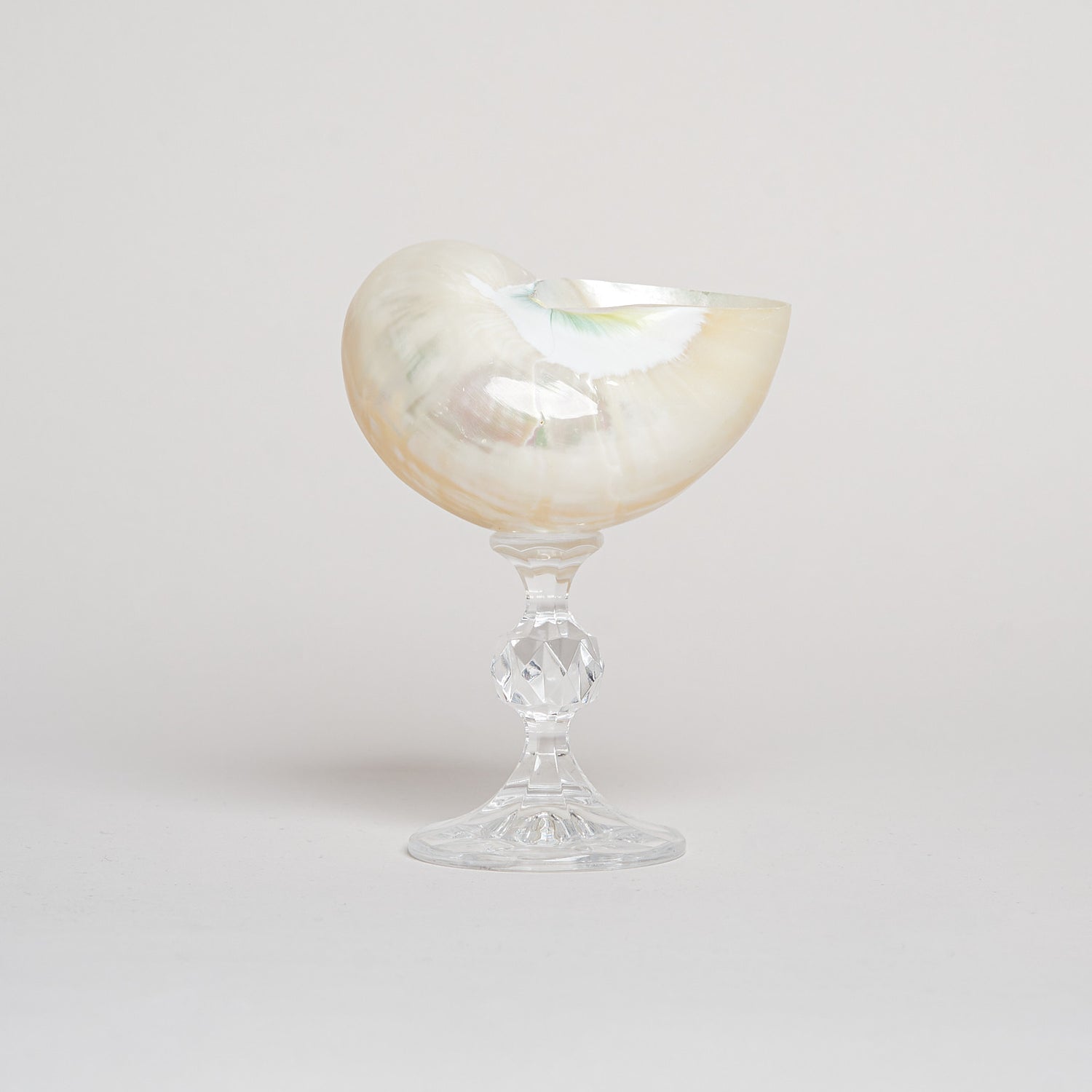 Ariel Pearl Snail sklenice