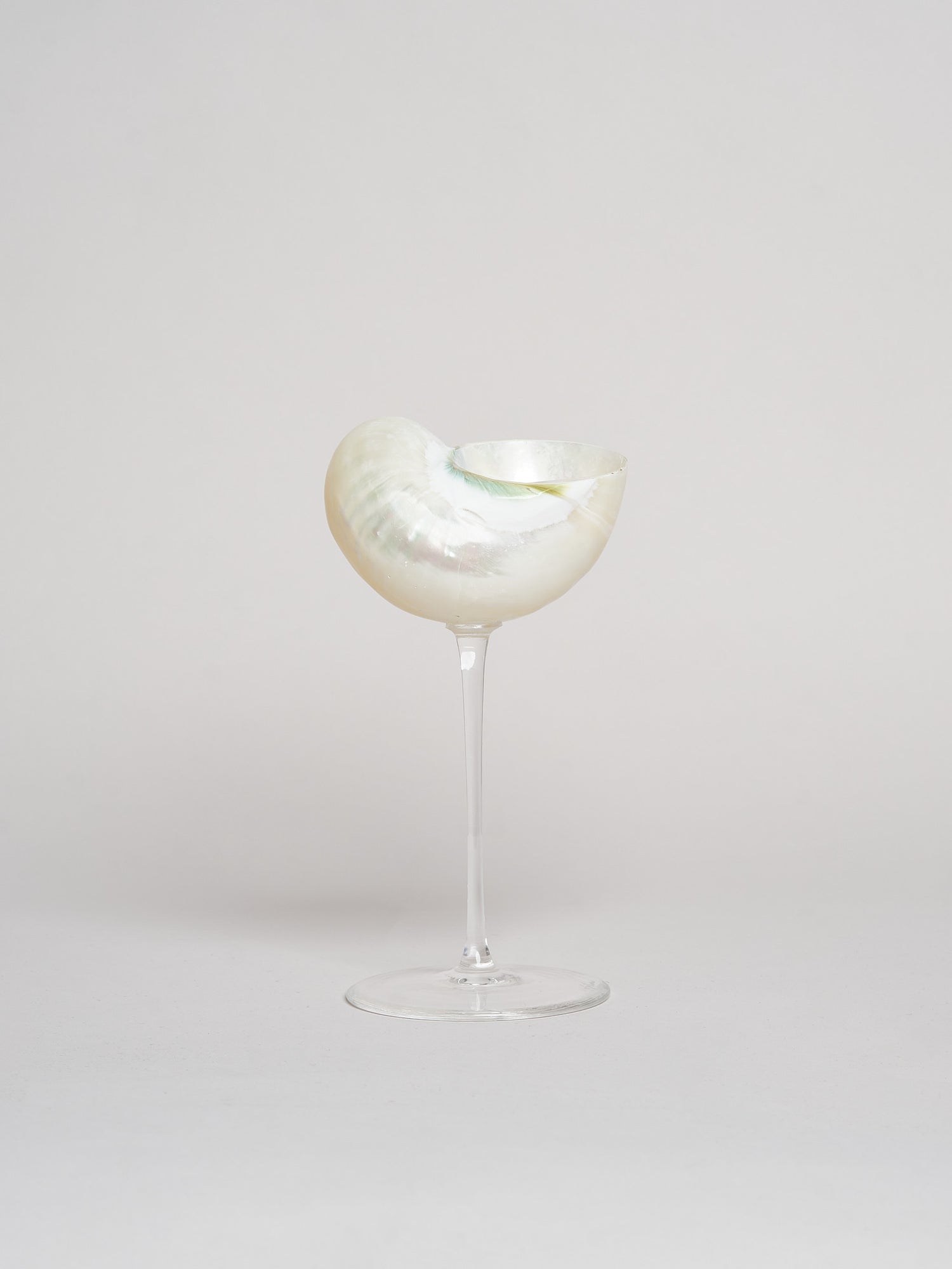 Ariel Pearl Snail sklenice