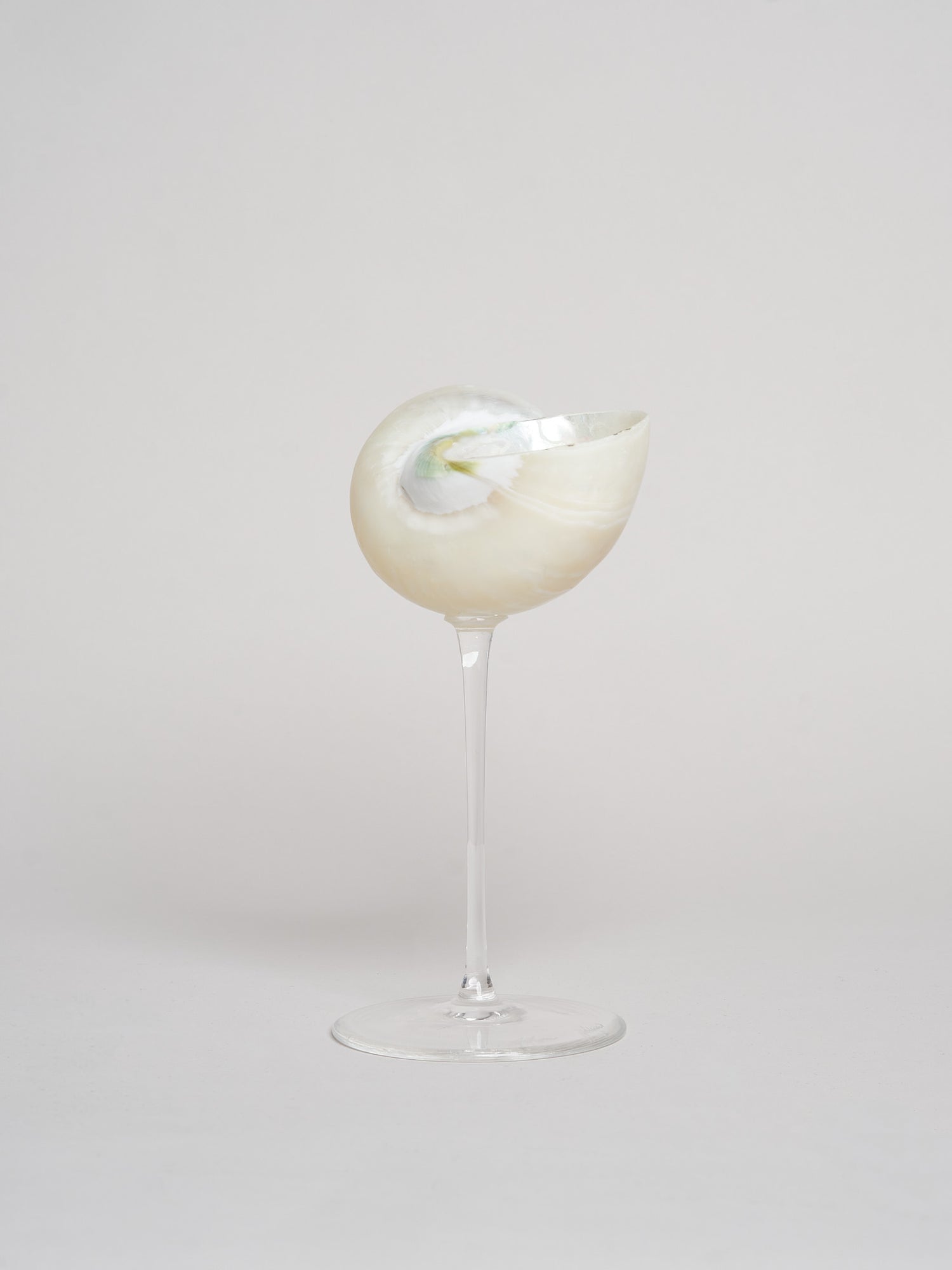 Ariel Pearl Snail sklenice