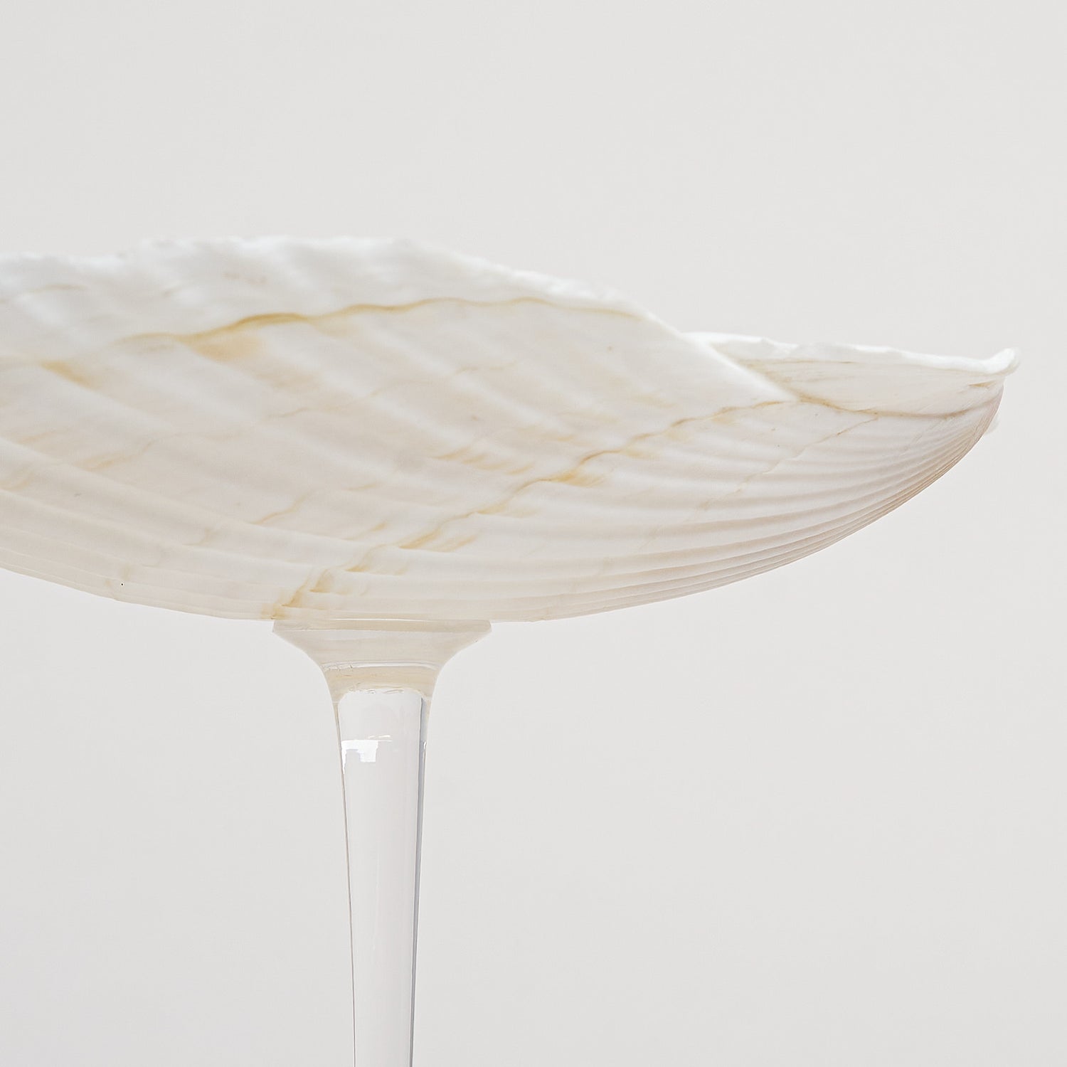 Ariel Scallop sklenice