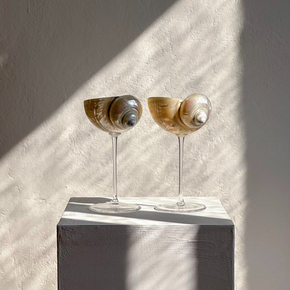 Ariel Pearl Snail sklenice