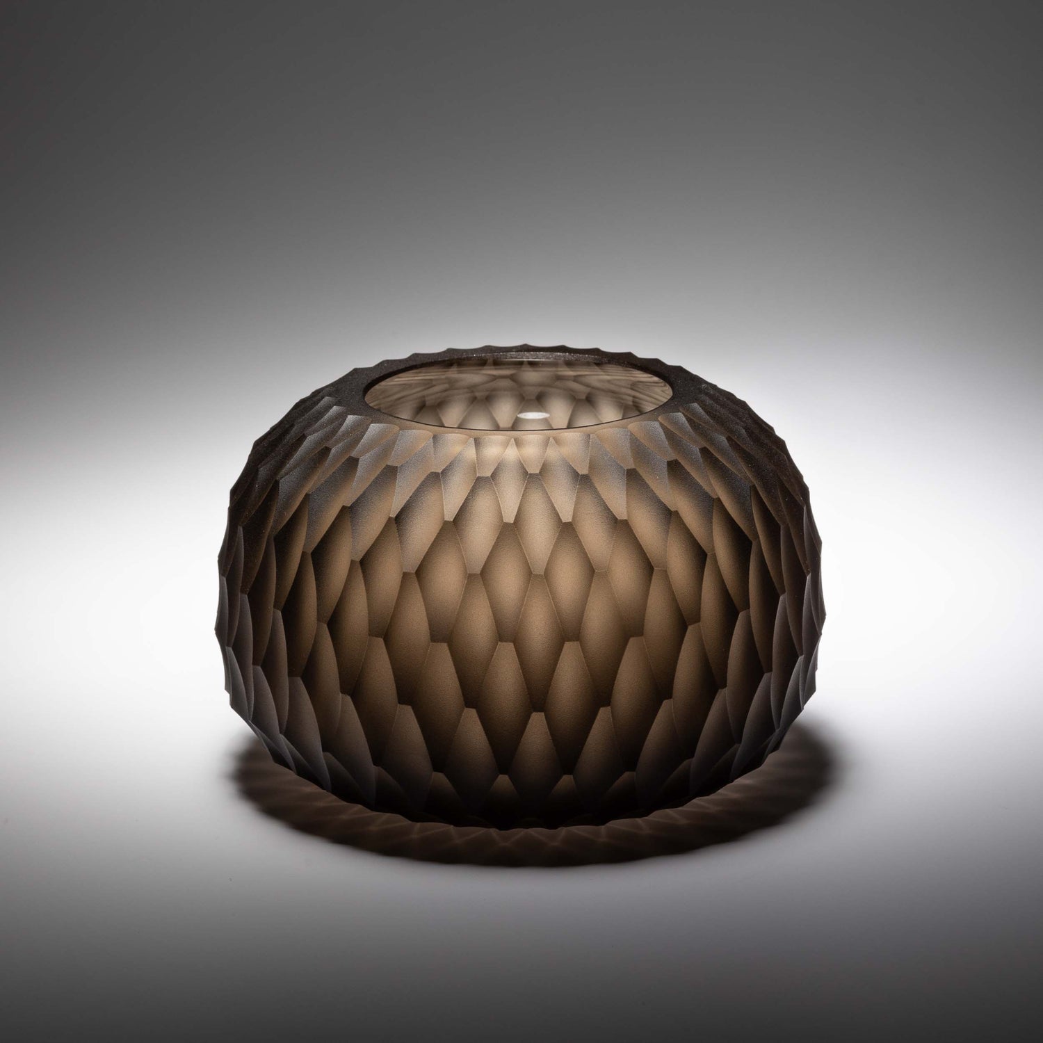 Metamorphosis svícen - kouřový