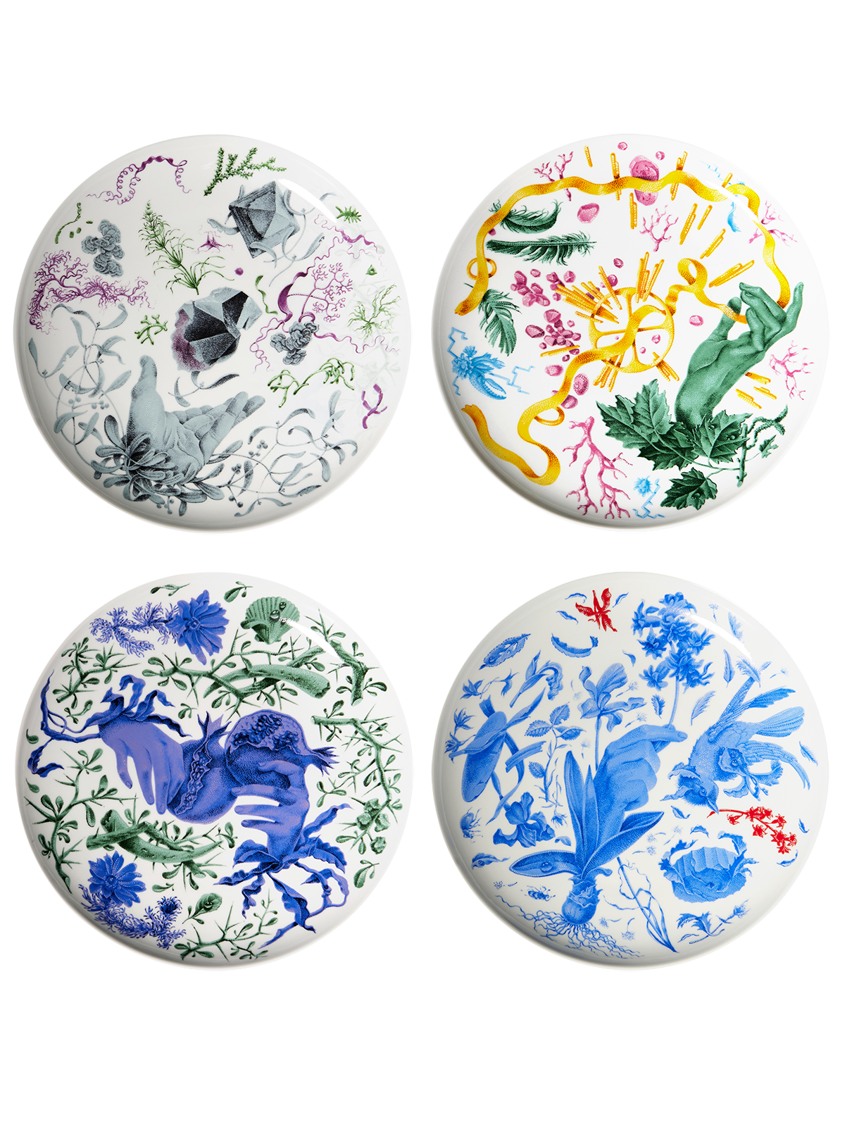 Hyakintos dinner plate