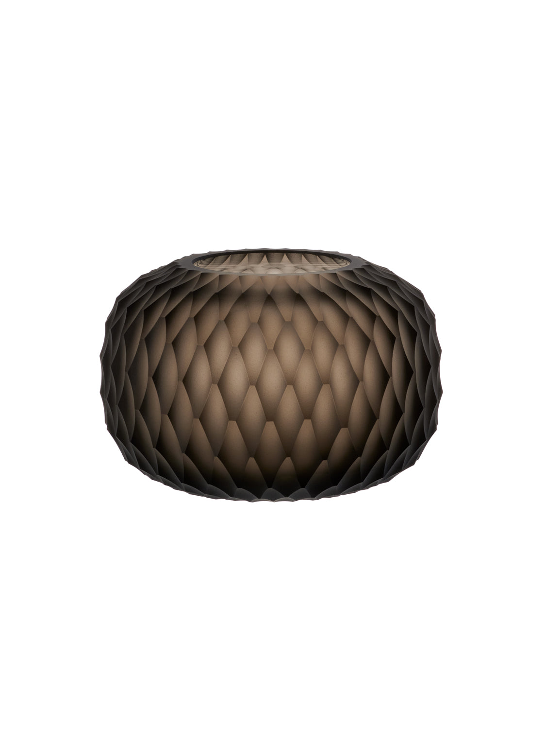 Metamorphosis svícen - kouřový