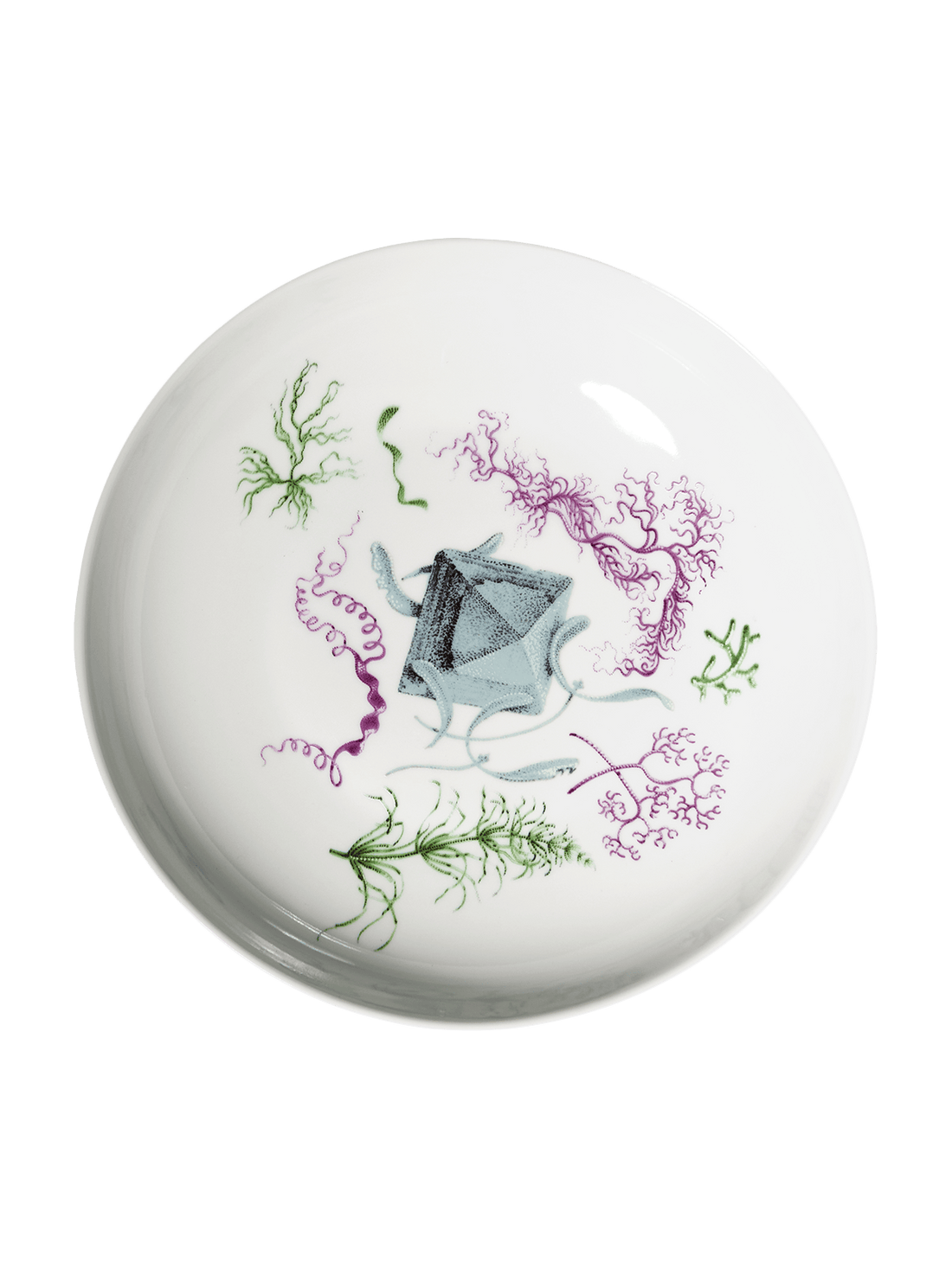 Deucalion deep plate