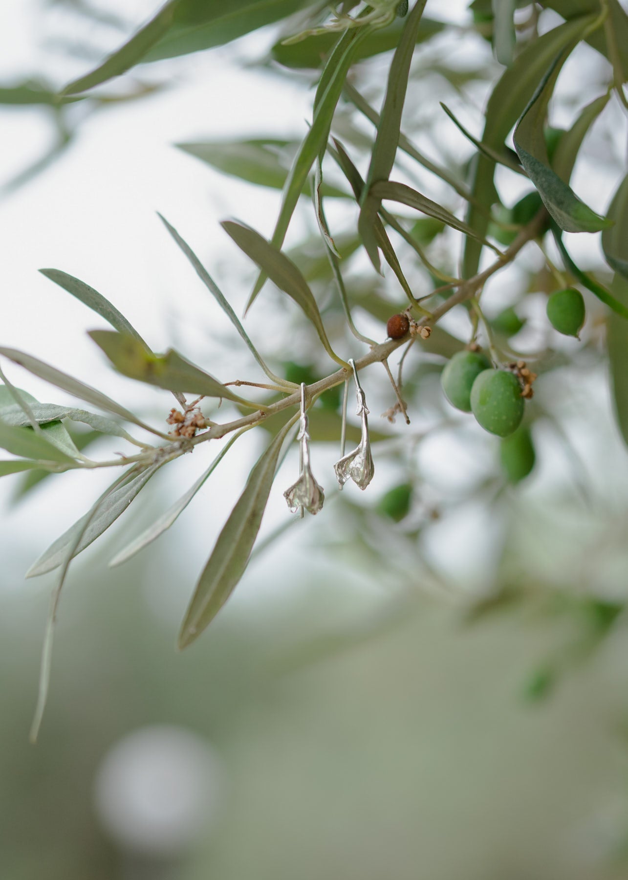 Sage earrings